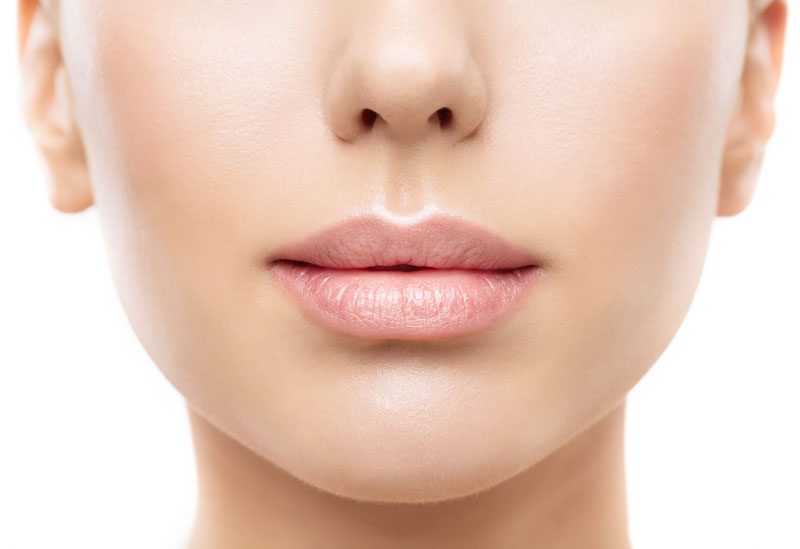 Labios_BascoVidales